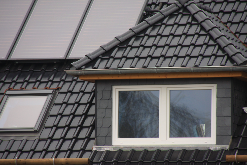 house  Windows & Skylights