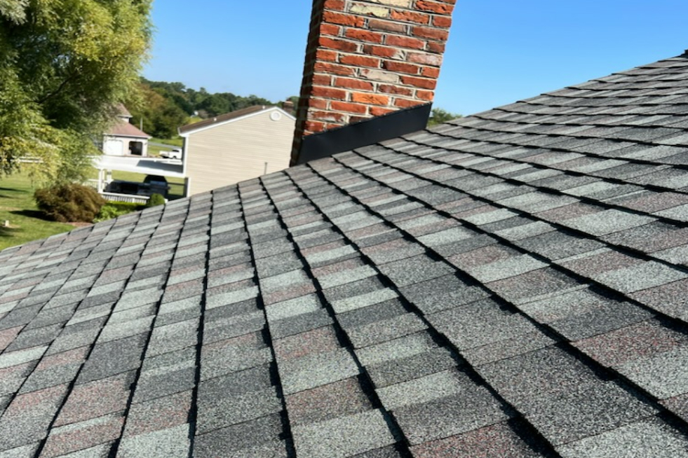 shingled roofing services